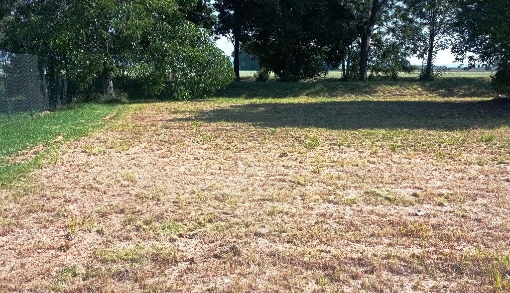 Prodej pozemek pro bydlení - Bukovany, 779 00