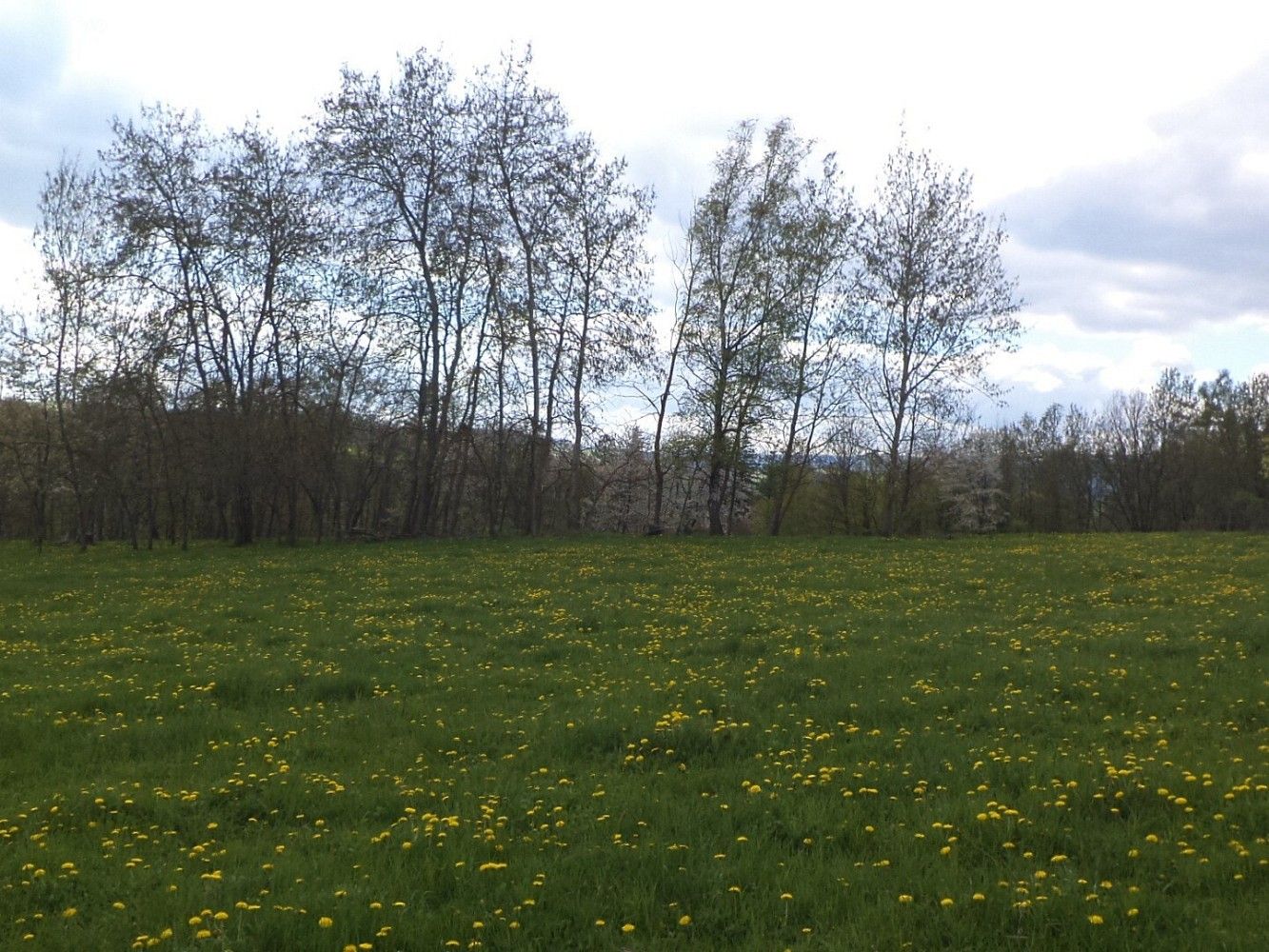Louka · Světlá Hora, okres Bruntál, Moravskoslezský kraj - 3