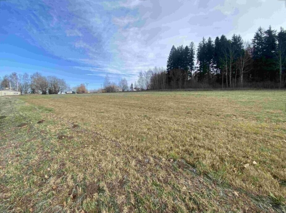 Zemědělské pozemky, Černá v Pošumaví Bližná, 3 624 m² - 2