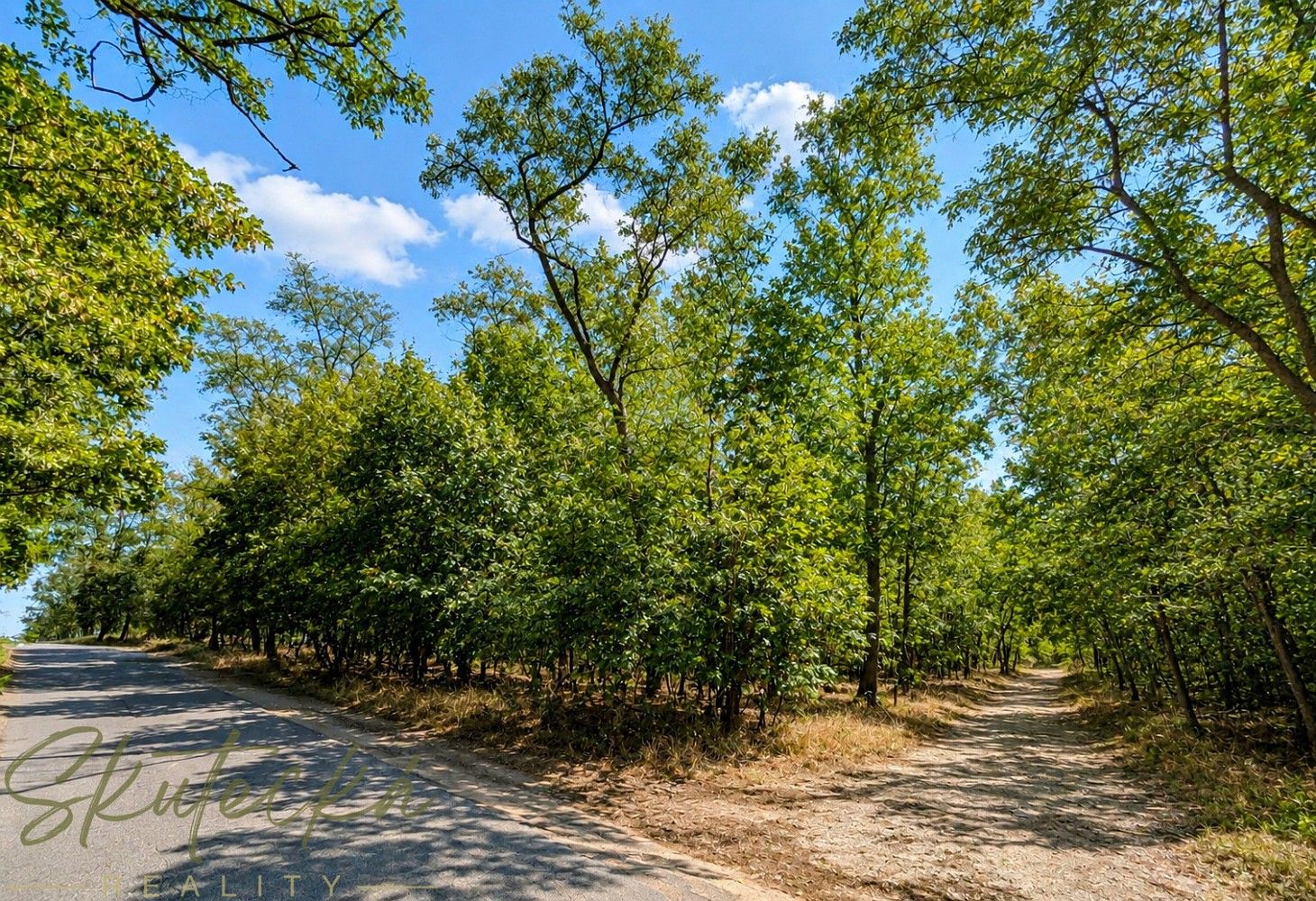 Lesy, Lužice, okres Hodonín, Jihomoravský kraj - 1