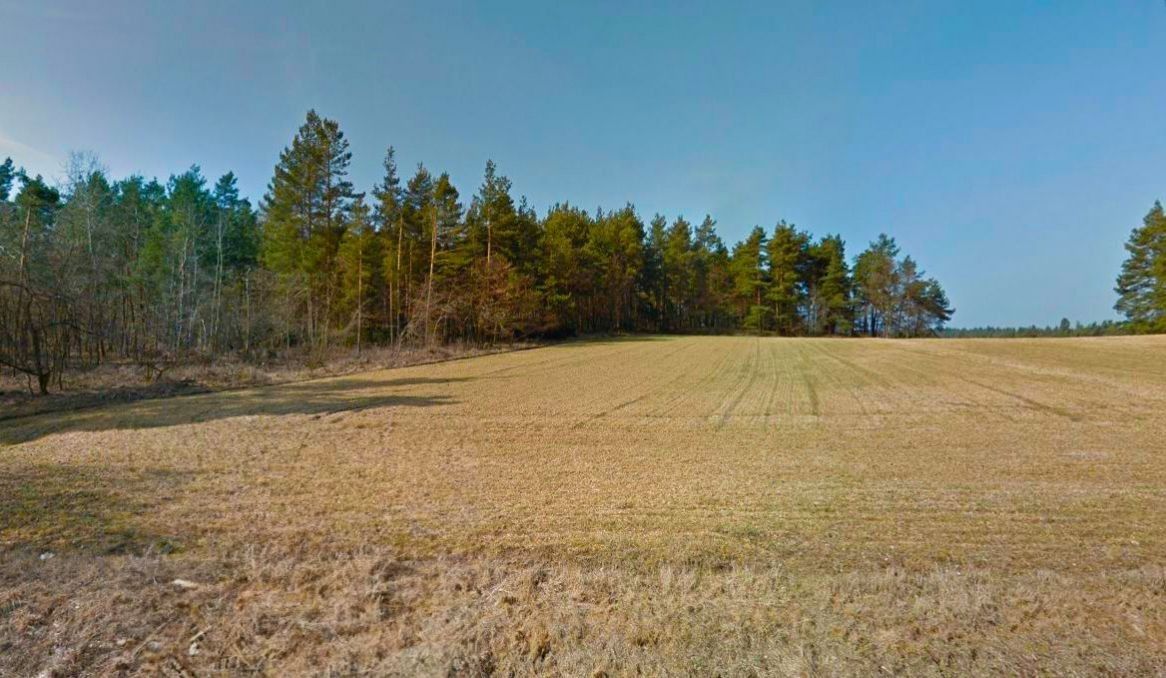 Prodej zemědělský pozemek - Kvášňovice, 12 905 m²