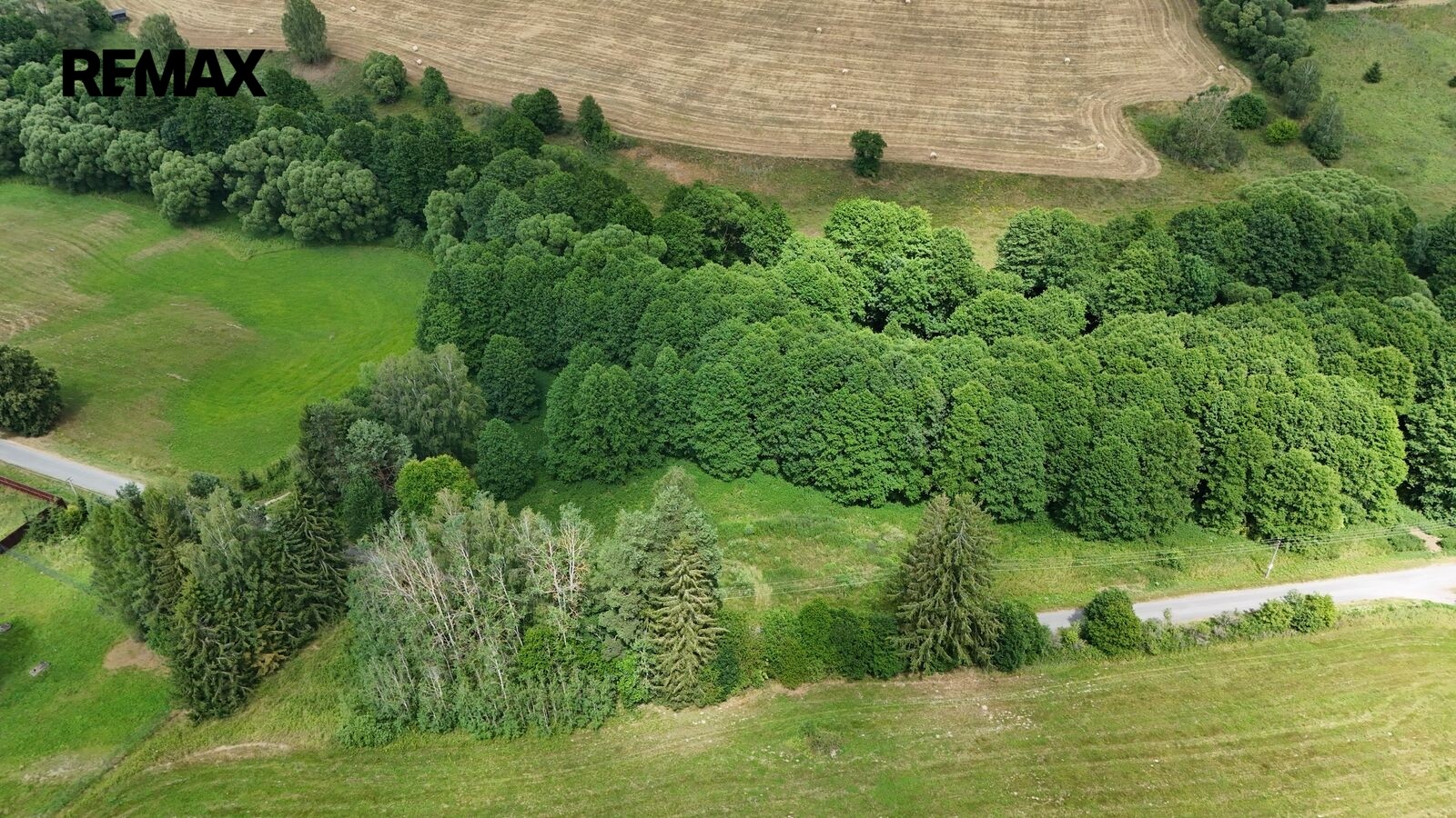 Louka · 6 111 m² · Borušov - 4