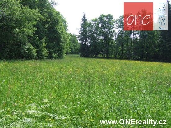 Louka · 1 000 m² · Rokytnice nad Jizerou - 3