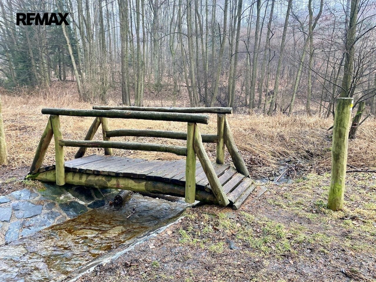 Prodej rybník - Ondřejov, 8 264 m² - 5