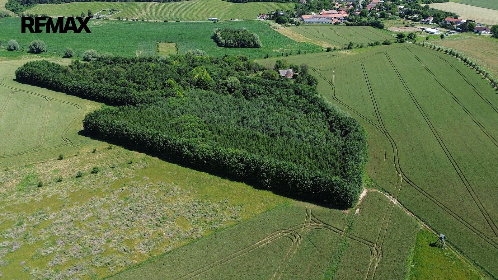 Prodej les - Vinaře, okres Kutná Hora, Středočeský kraj - 5