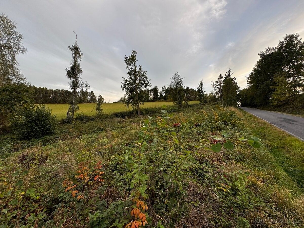 Pozemky pro bydlení, Bratronice, 386 01