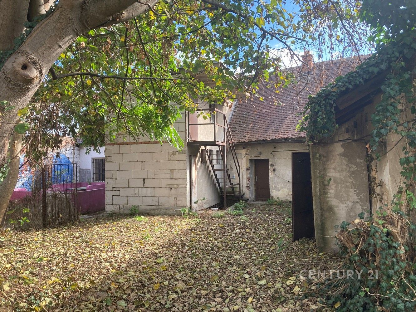 Restaurace · 200 m² · Hrušovany u Brna, okres Brno-venkov, Jihomoravský kraj - 4