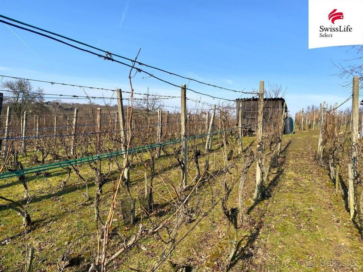 Pozemky pro bydlení, Bzenec, 696 81