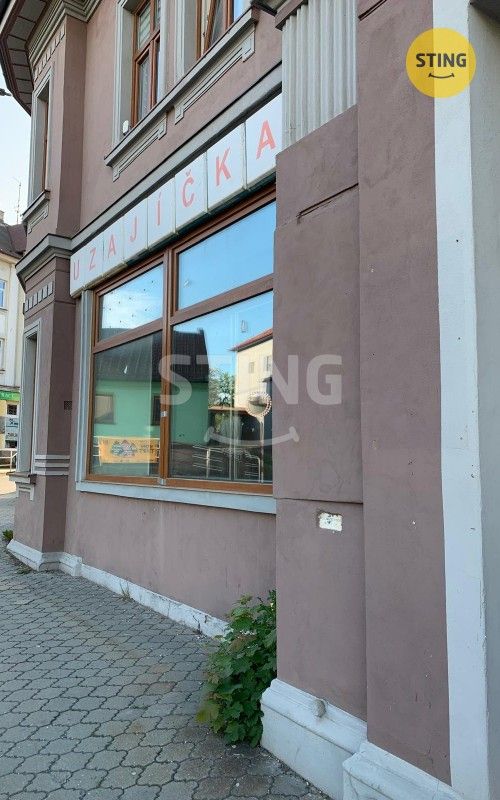 Obchodní prostory, Střelniční, Frenštát pod Radhoštěm, 82 m²