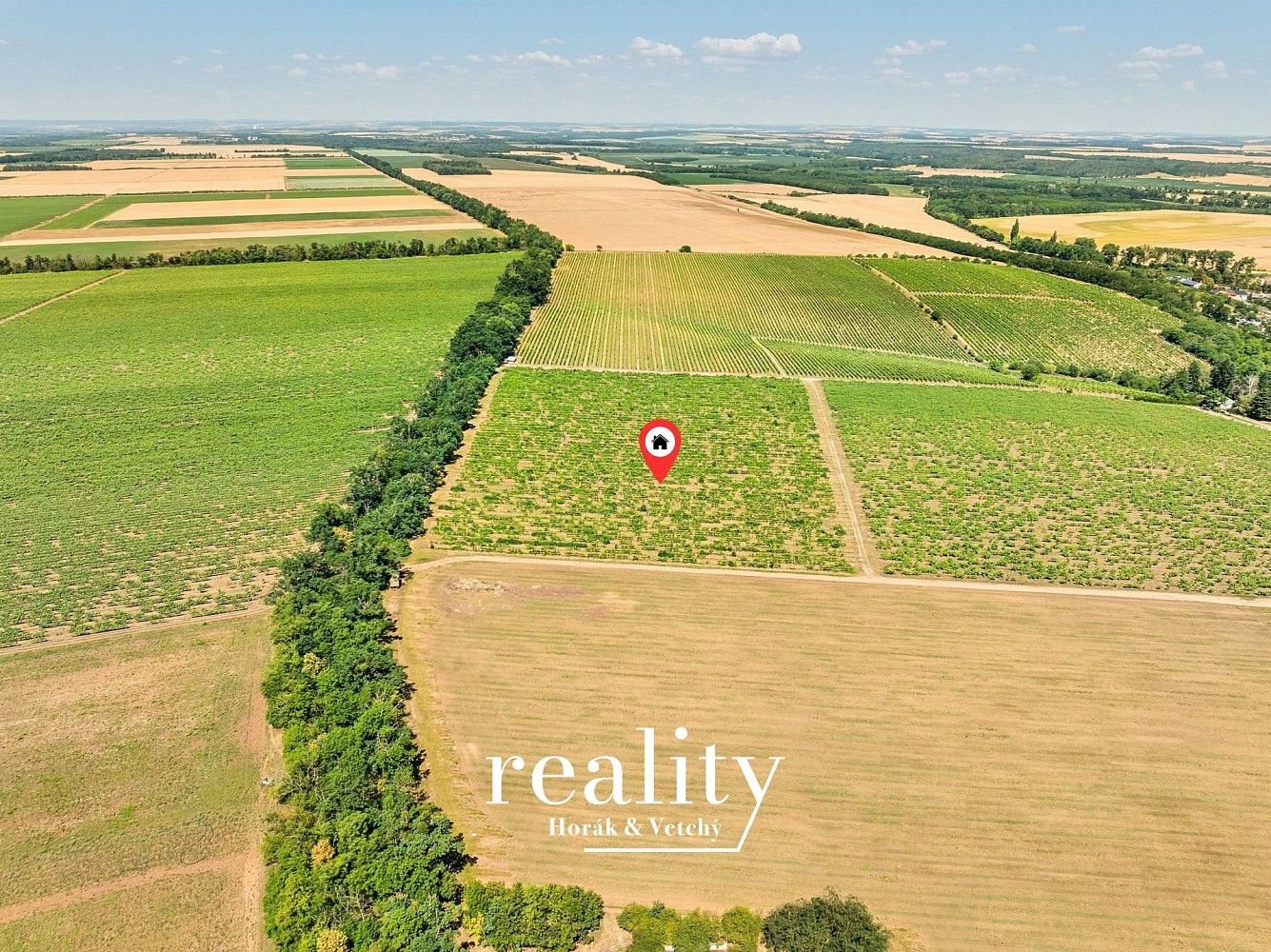 Prodej zemědělský pozemek - Šanov, okres Znojmo, Jihomoravský kraj - 5