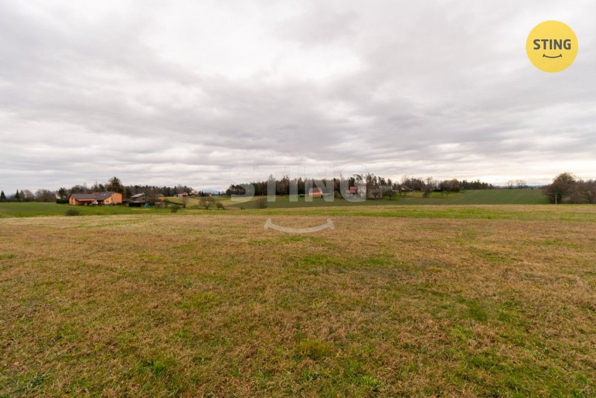 Ostatní, Petrovice u Karviné Prstná, 25 667 m² - 2