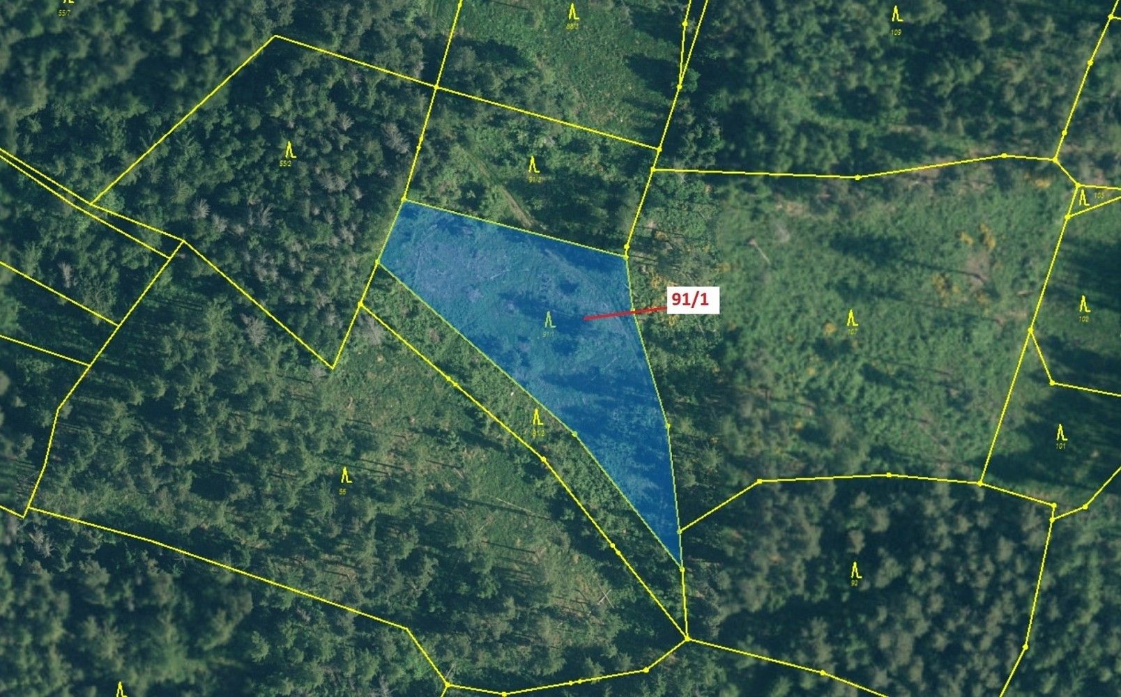 Lesy, Pačejov, okres Klatovy, Plzeňský kraj - 2