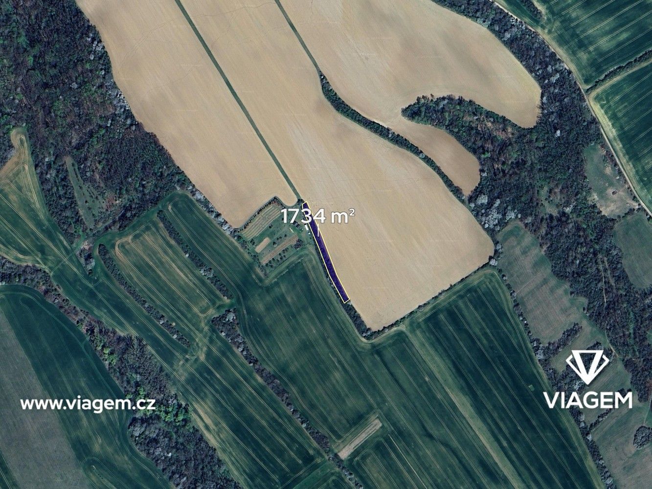 Prodej zemědělský pozemek - Traplice, okres Uherské Hradiště, Zlínský kraj - 2