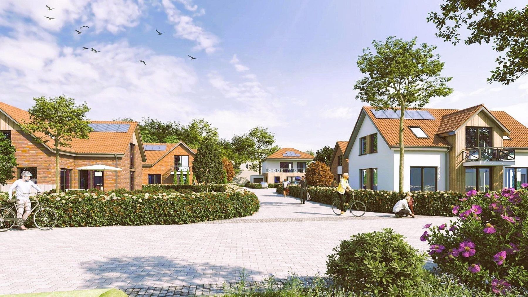 Prodej pozemek pro bydlení - , Mecklenburg-Vorpommern - 5