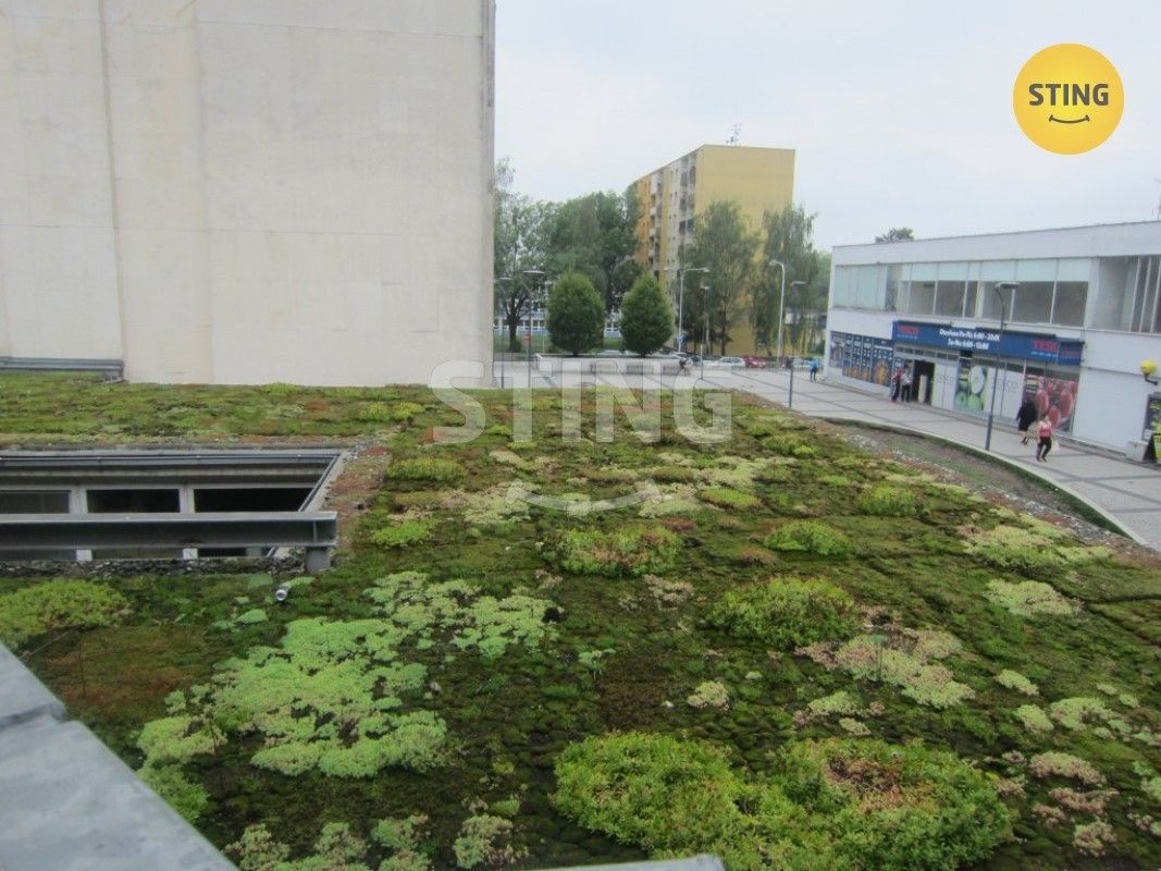 Pronájem obchodní prostory - tř. Těreškovové  , Karviná Mizerov, 78 m² - 5