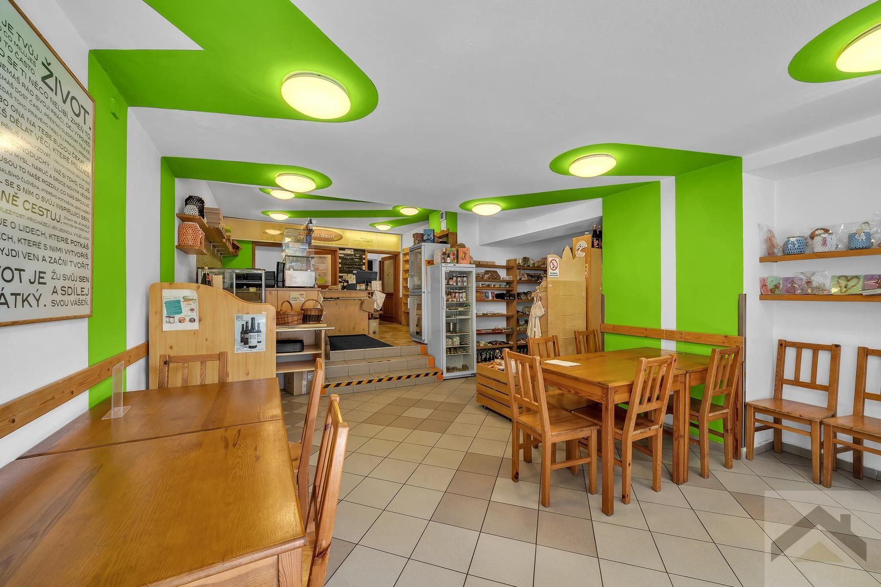 Prodej komerční - Havlíčkova, Litomyšl, 295 m²