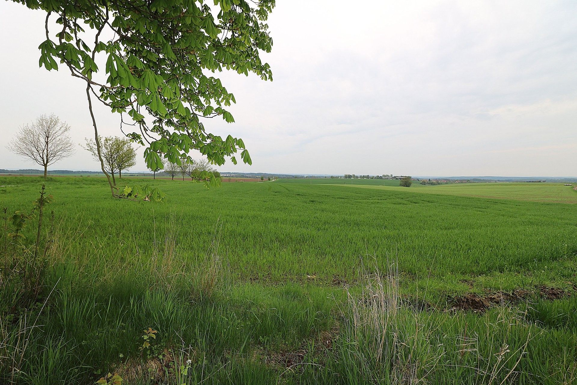 Prodej zemědělský pozemek - Nádražní, Lanškroun, 107 806 m²
