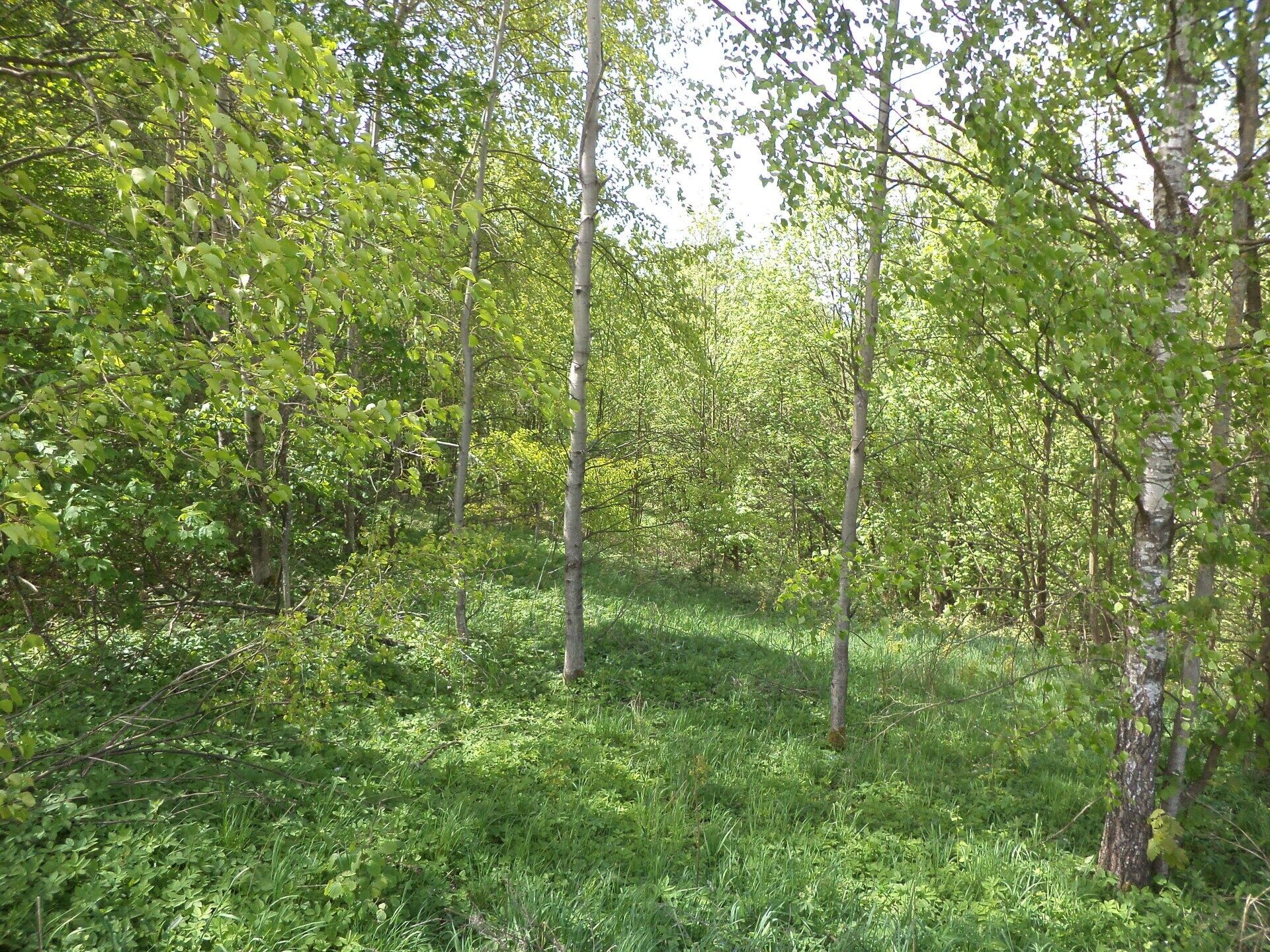 Prodej pozemek - 2.díl, Líšný, 1 m²