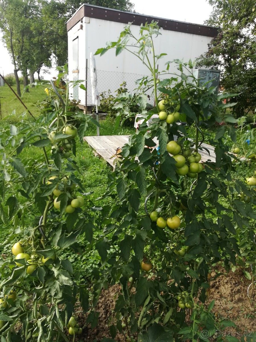 Zahrady, Zlín, 763 02