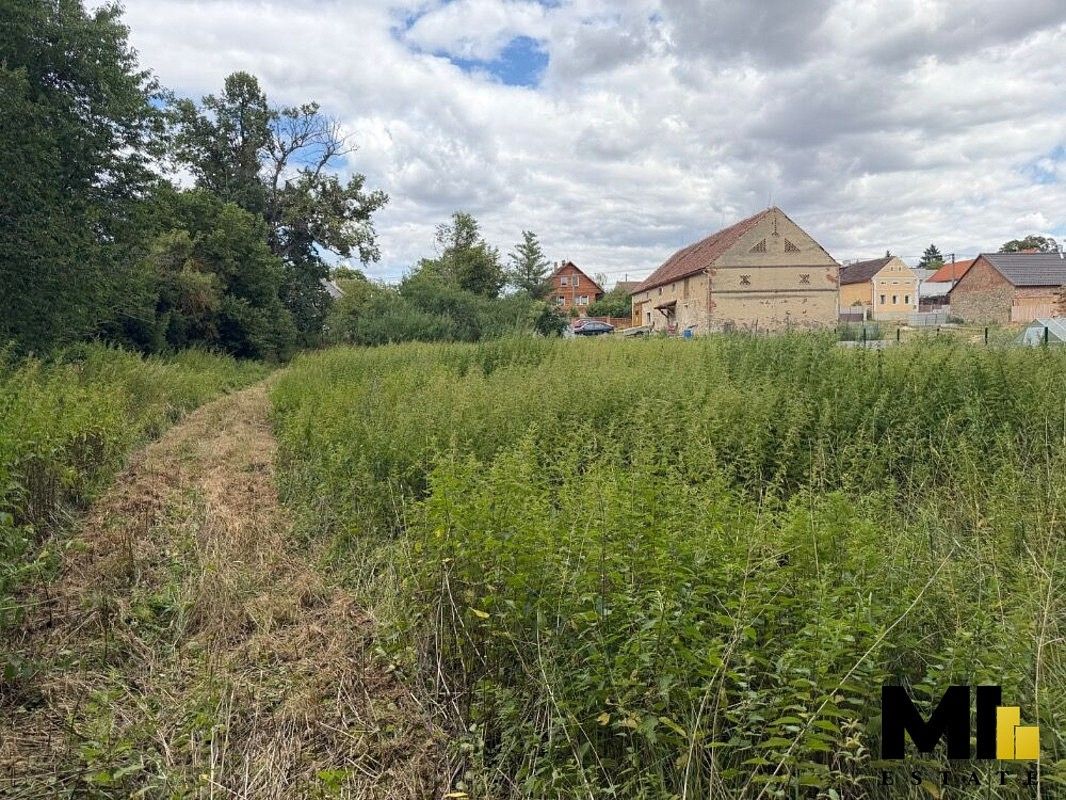 Louka · Horšovský Týn, okres Domažlice, Plzeňský kraj - 3