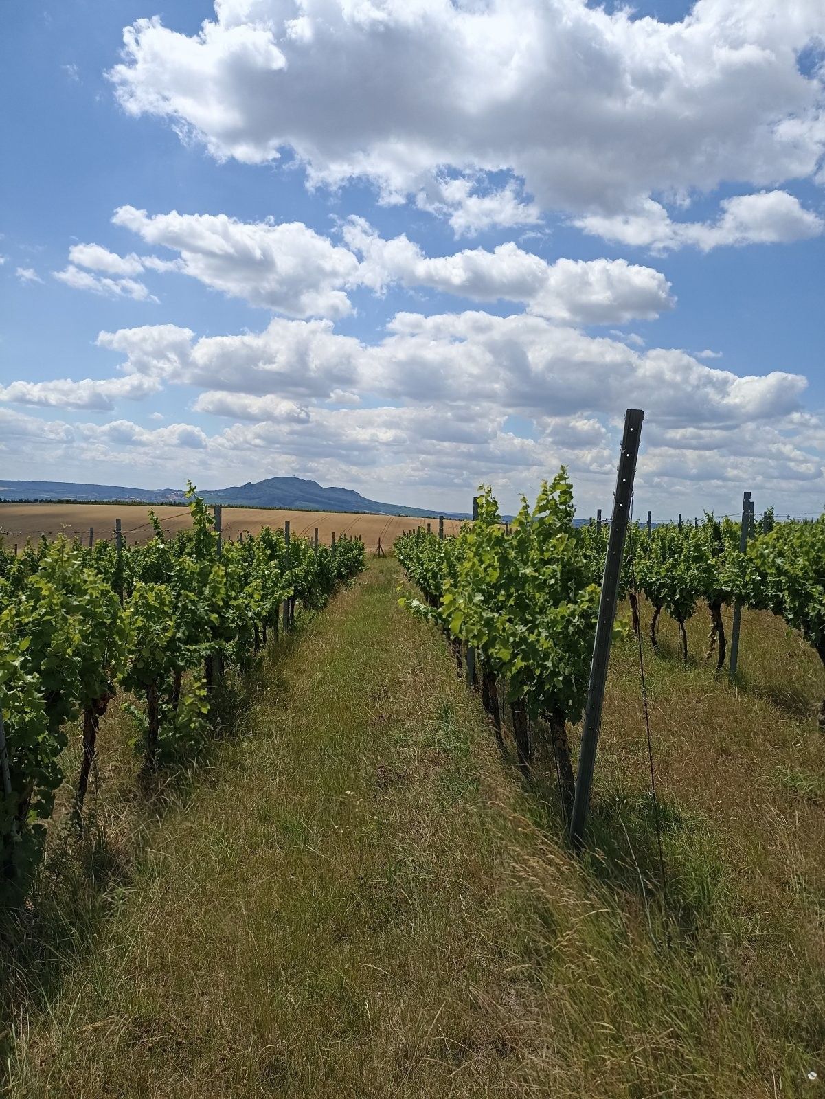 Ostatní, Starovice, 13 493 m² - 1