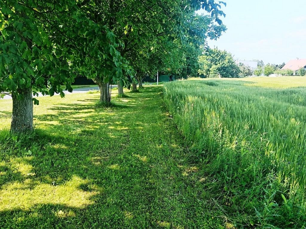 Prodej rodinný dům - Šumvald, okres Olomouc, 100 m² - 2