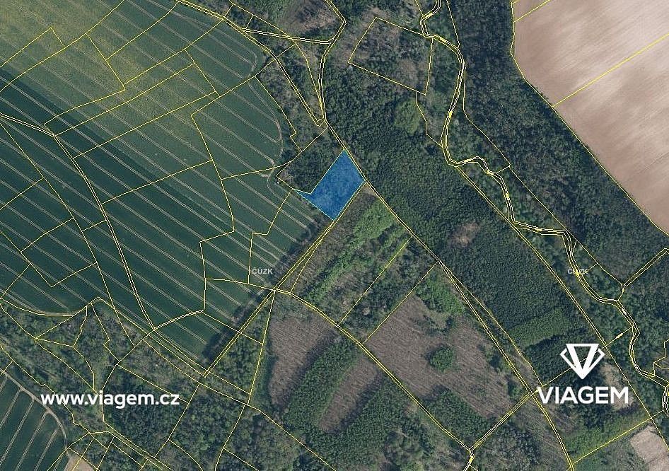 Les · Mělnické Vtelno, okres Mělník, Středočeský kraj - 3