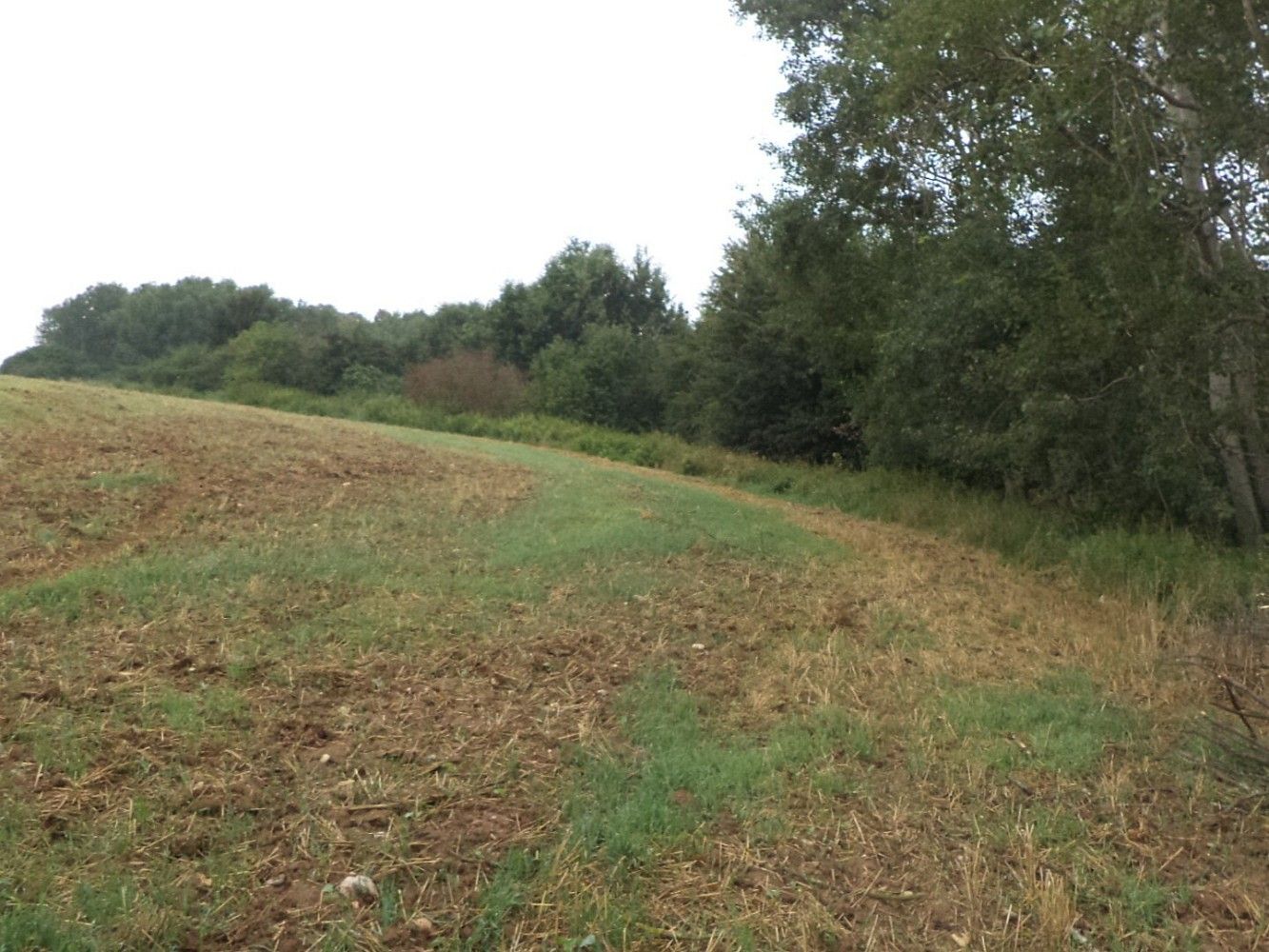 Louka · Radkov, okres Svitavy, Pardubický kraj - 4