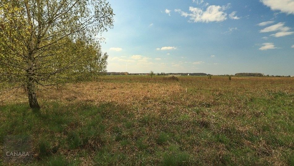 Rodinný dům · 132 m² · Poděbrady - 3
