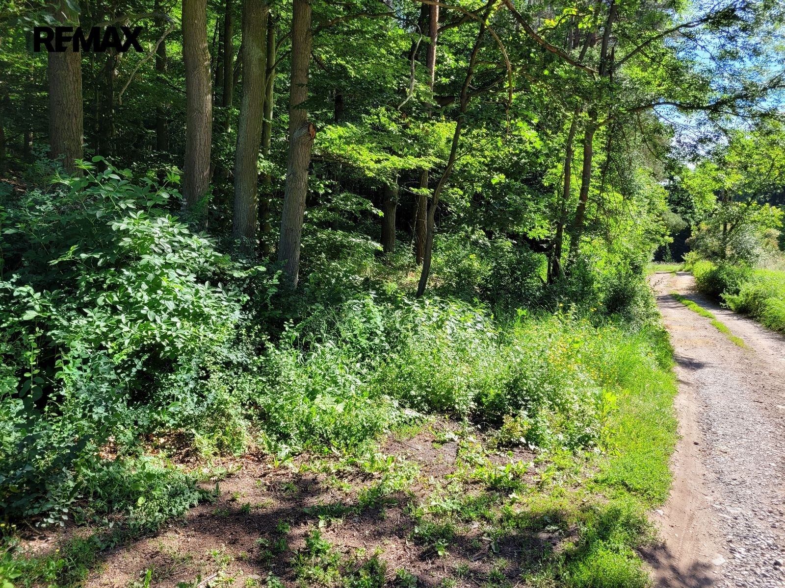 Prodej pozemek pro bydlení - Chyňava, 1 246 m² - 2
