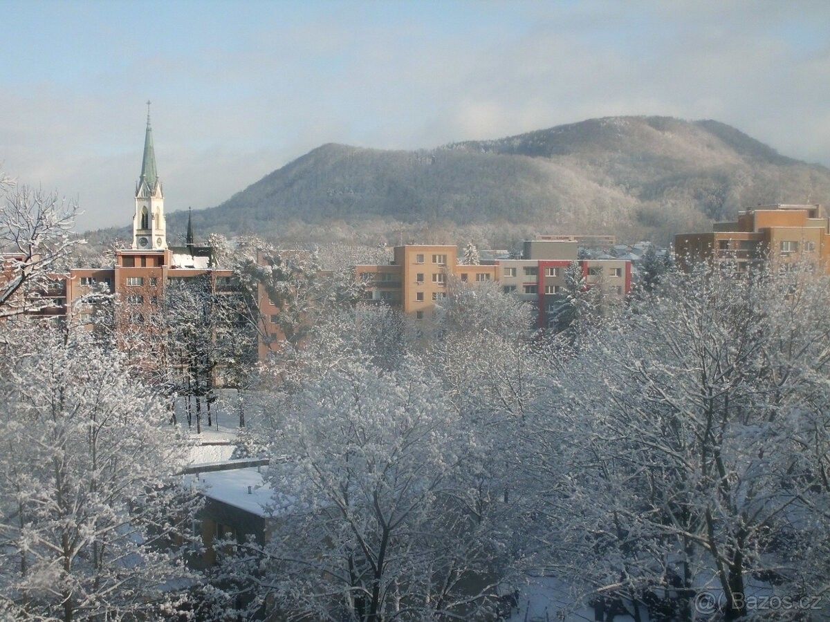 Byty, Kopřivnice, 742 21