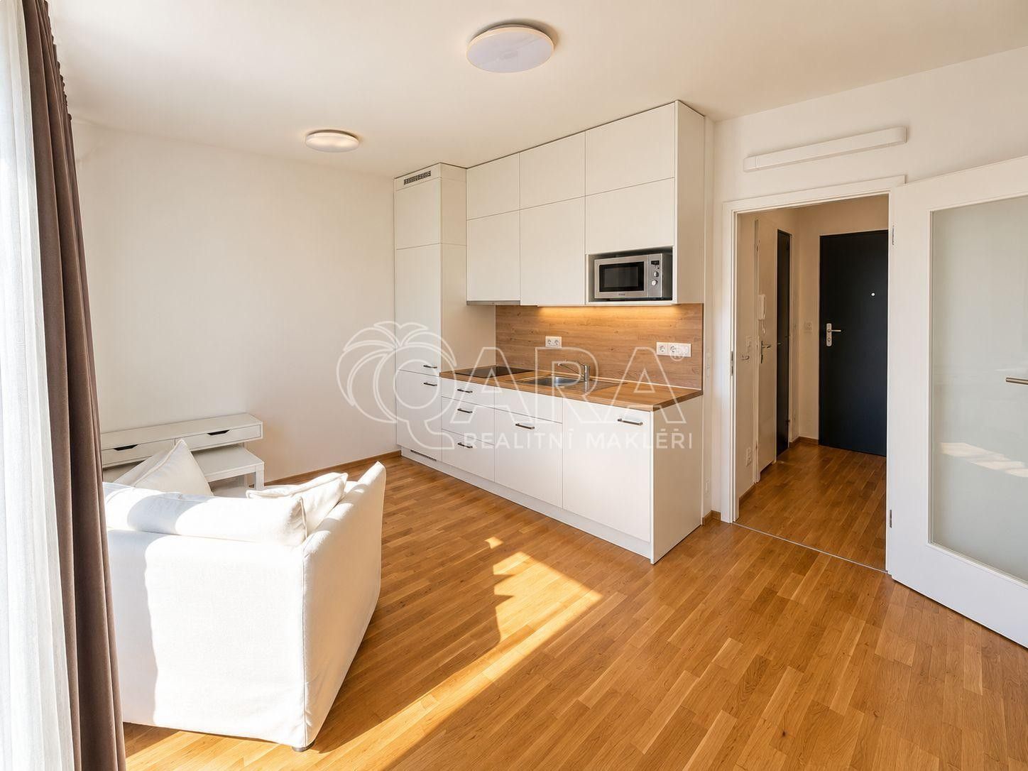 1+kk, Na Farkáně I, Praha Radlice, 28 m² - 1
