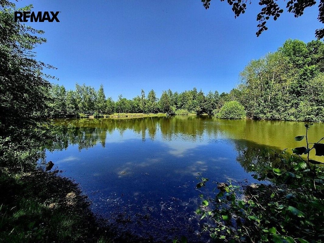 Rybníky, Obruby, okres Mladá Boleslav, Středočeský kraj - 1