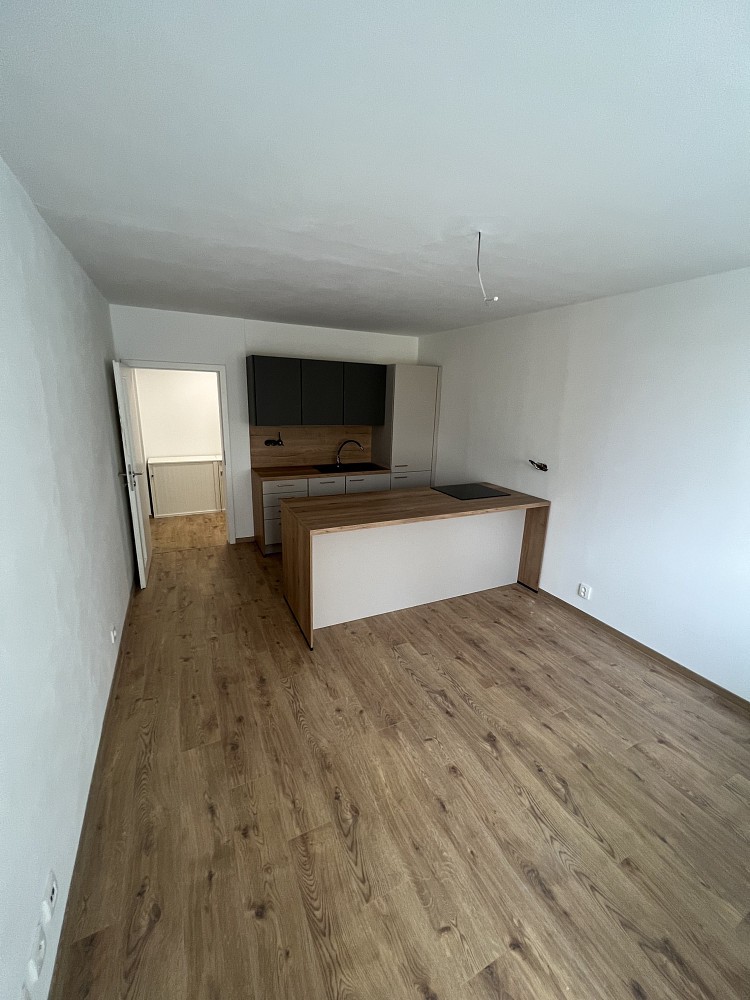 Byt 2+kk · 52,5 m² · Trávník, Česká Třebová, okres Ústí nad Orlicí - 4