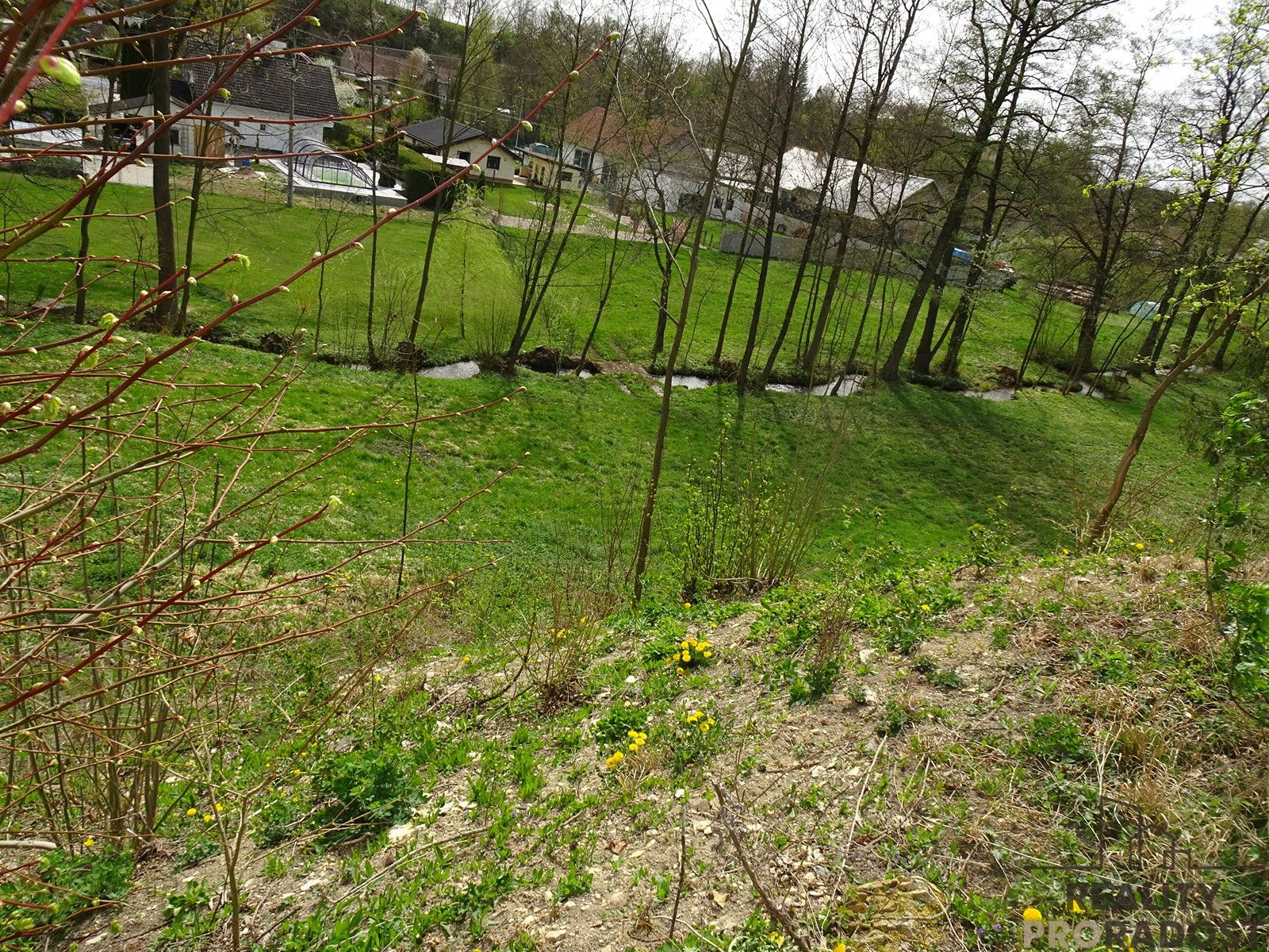 Prodej louka - Kvasiny, 5 086 m² - 5