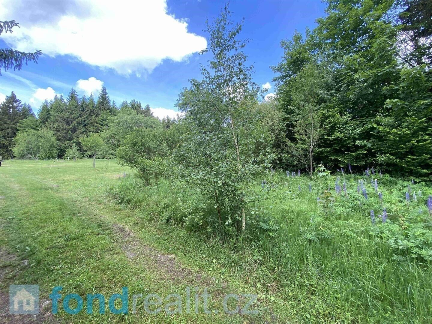Pozemek pro bydlení · 2 584 m² · Slavonice - 3