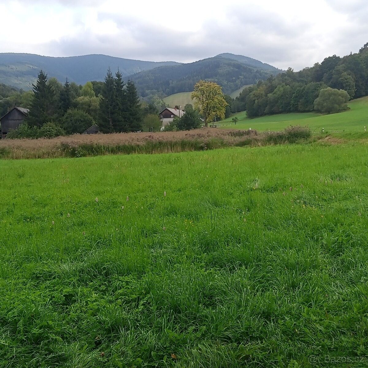 Pozemky pro bydlení, Velké Losiny, 788 15