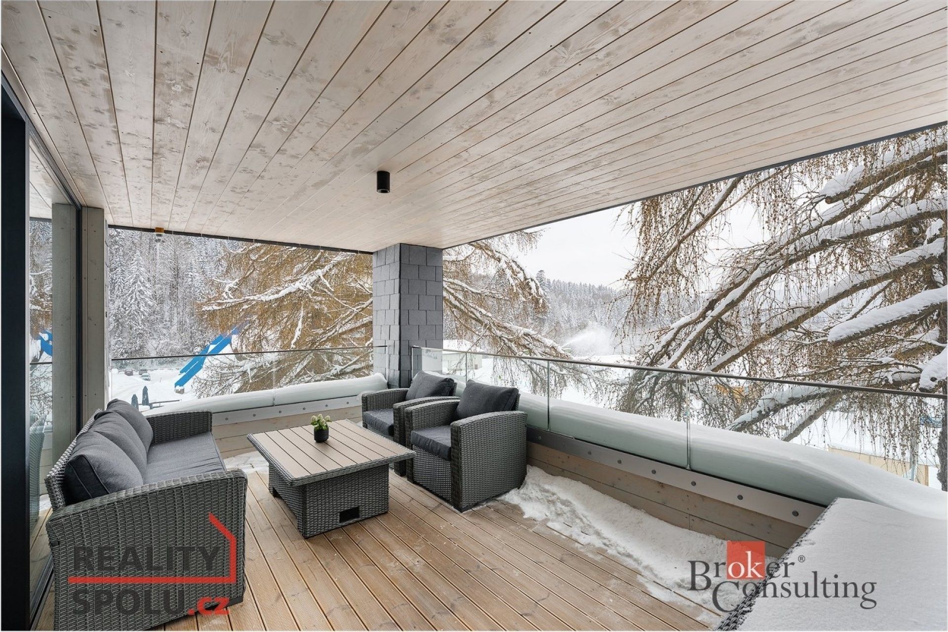 4+kk, Harrachov, 100 m²