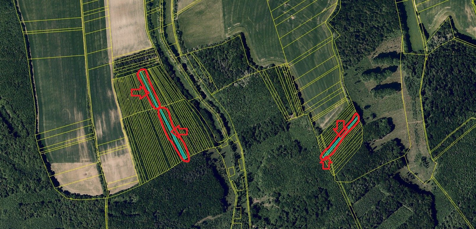 Lesy, Mouřínov - Nýřany, okres Vyškov, Jihomoravský kraj - 2