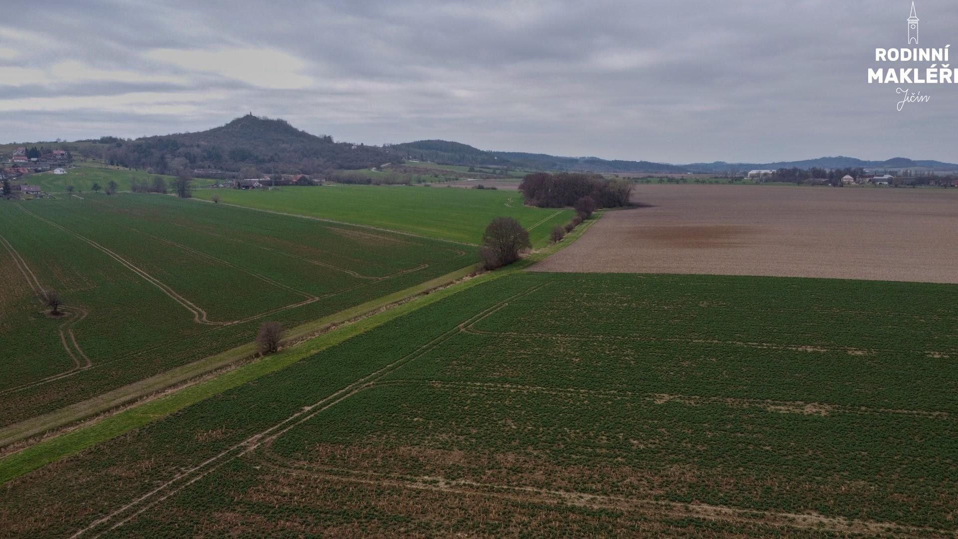 Prodej zemědělský pozemek - Čejkovice, Podhradí