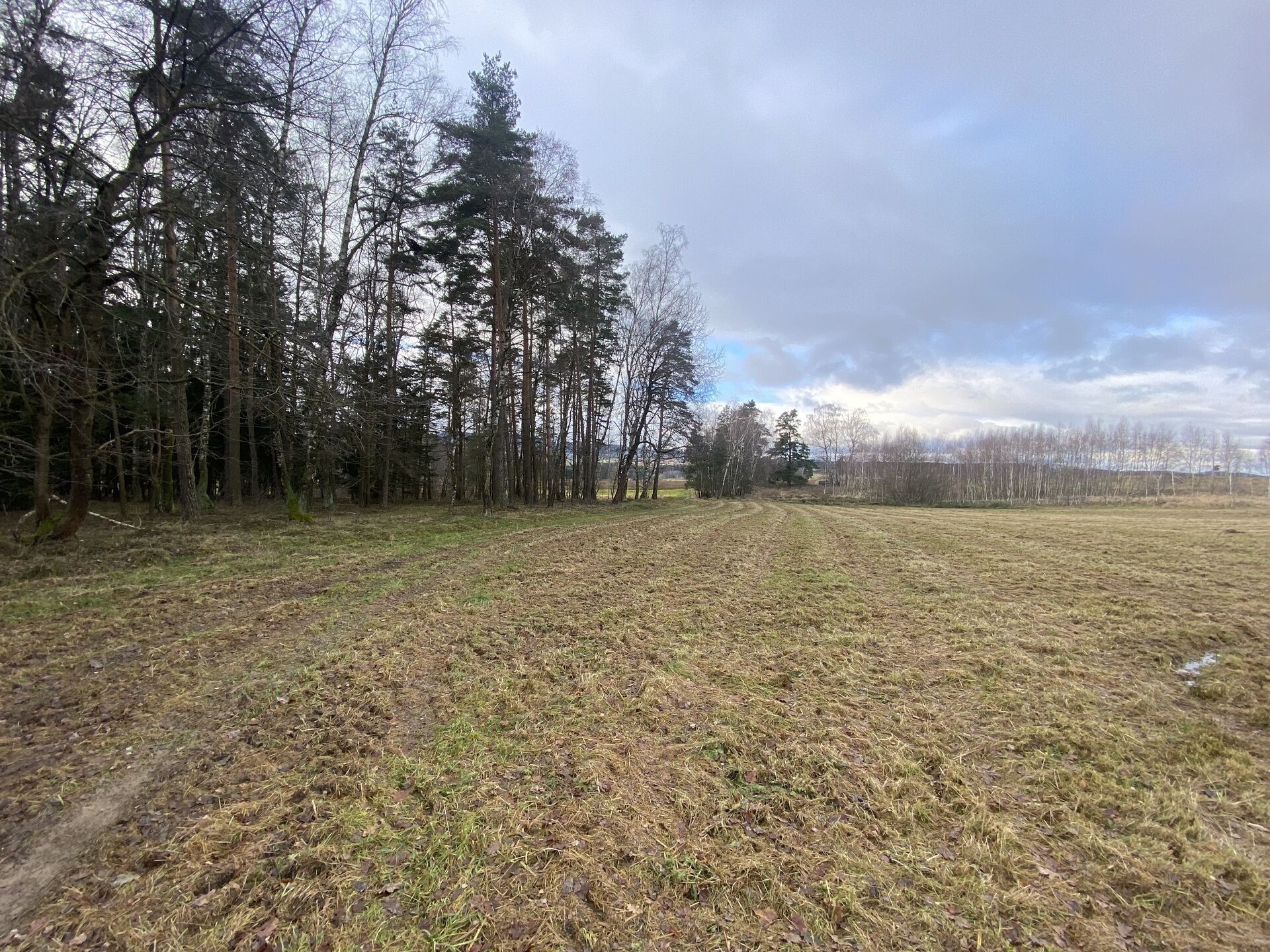 Prodej pozemek - Pořešín, Kaplice, 11 m²