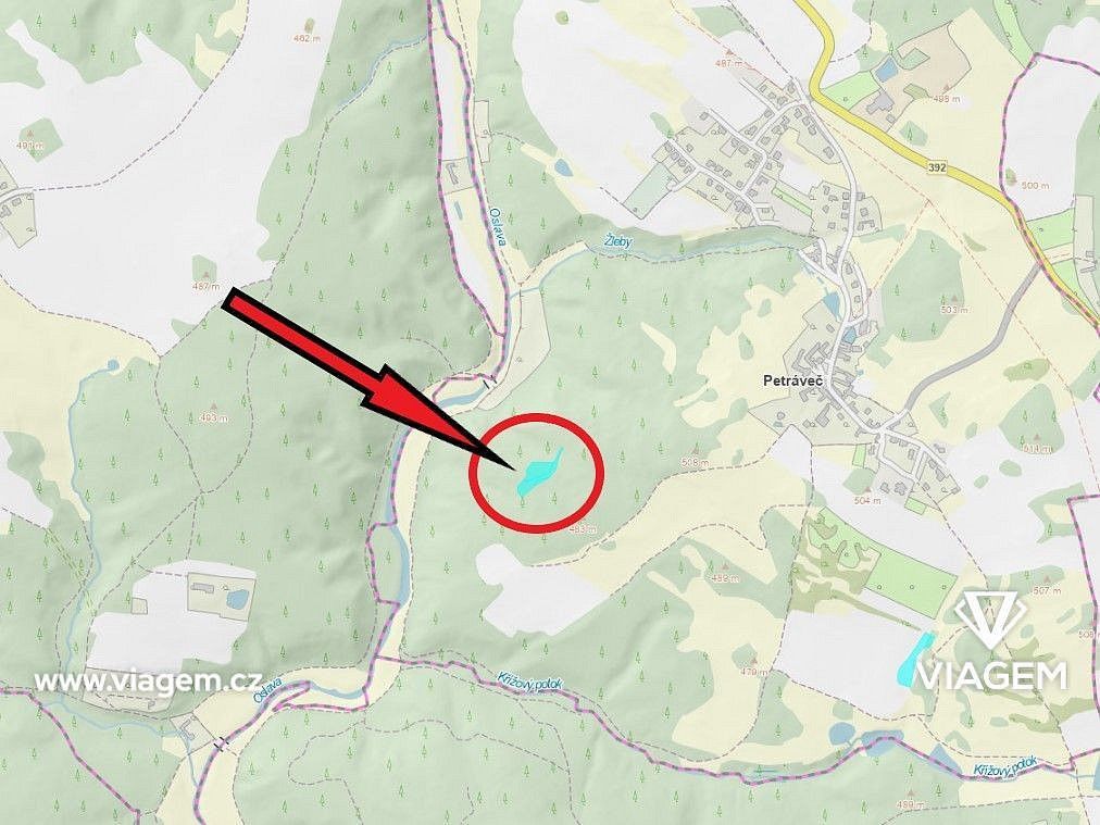 Les · Petráveč, okres Žďár nad Sázavou, Kraj Vysočina - 4