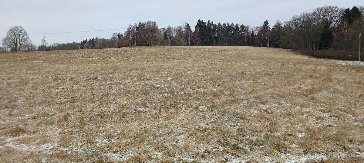 Prodej pozemek pro bydlení - Planá u Mariánských Lázní, 348 15