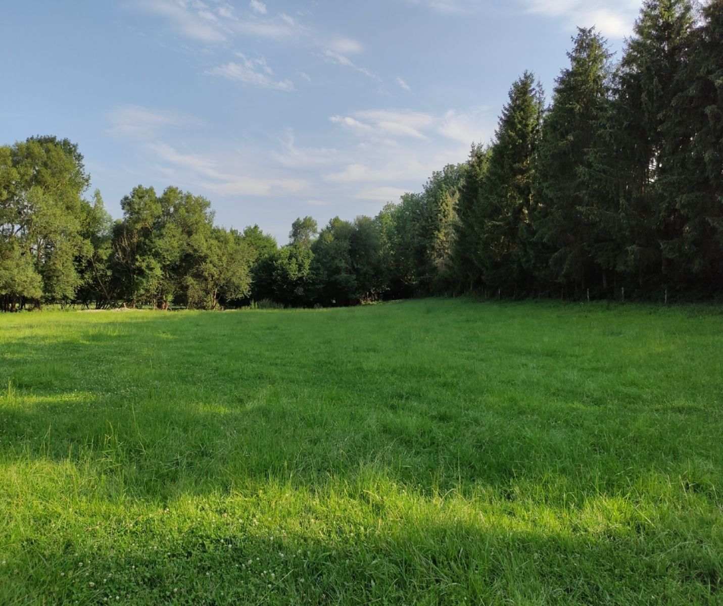 Louka · Vysoké Mýto - Vysoké Mýto, Pardubický kraj - 4