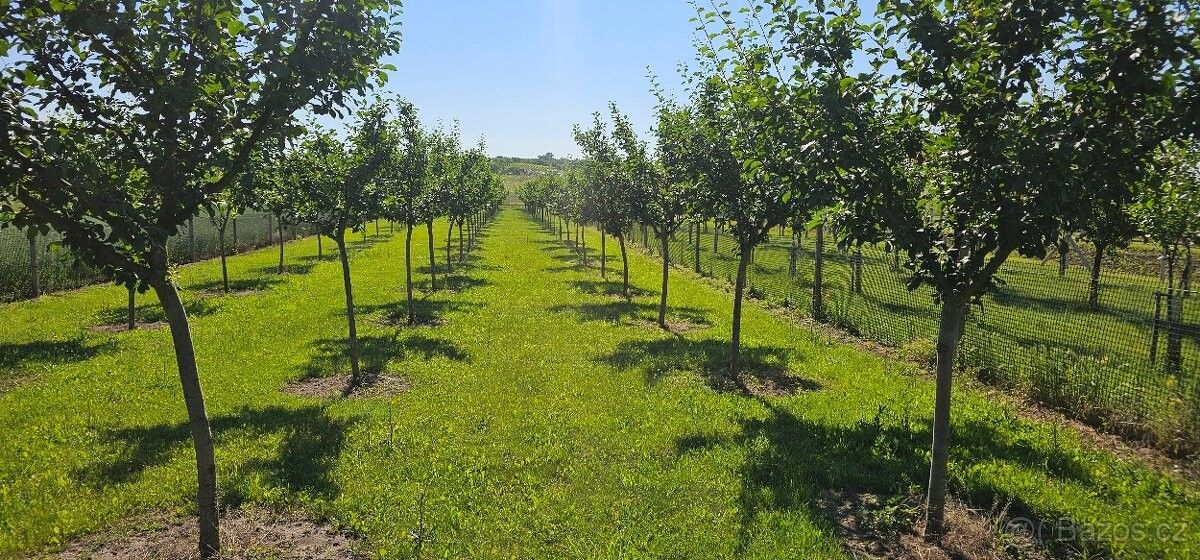 Zahrady, Dolní Dunajovice, 691 85