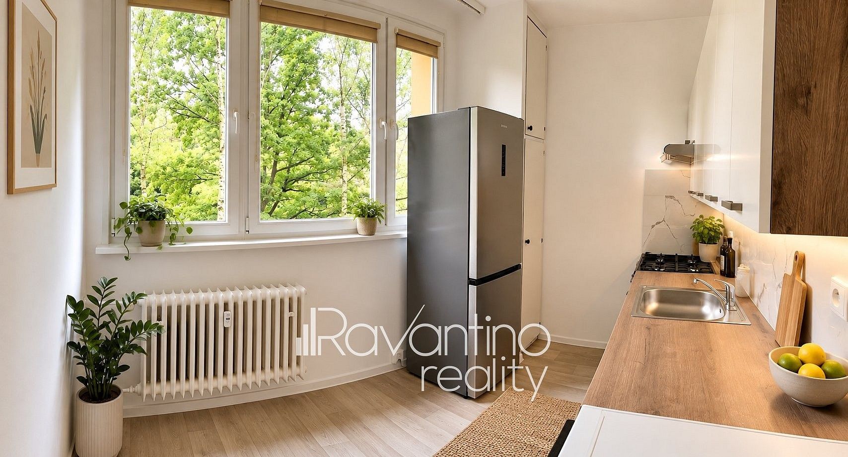 2+1, Arbesova, Brno - Lesná, 58 m² - 1