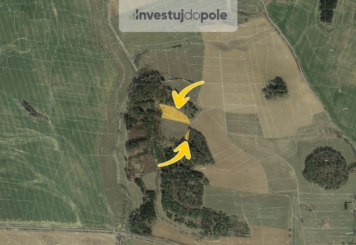 Prodej les - Čepřovice, 5 649 m²