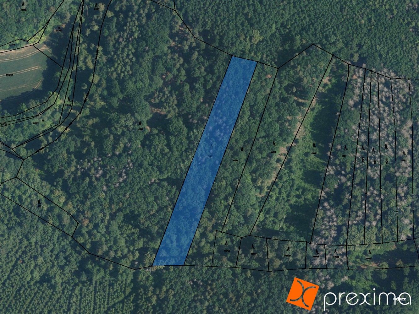 Lesy, Svinošice, okres Blansko, Jihomoravský kraj