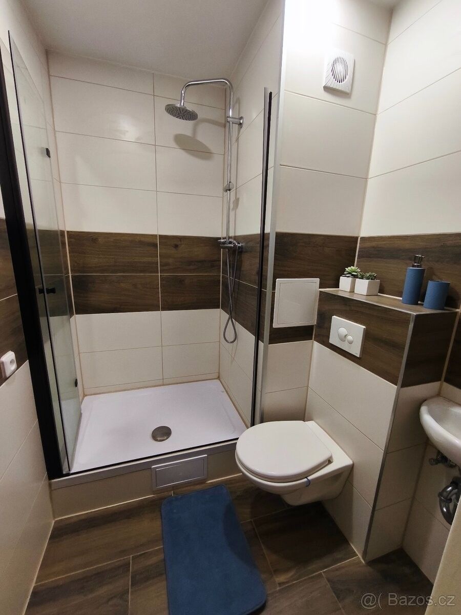 Pronájem byt - Chodov u Karlových Var, 357 35