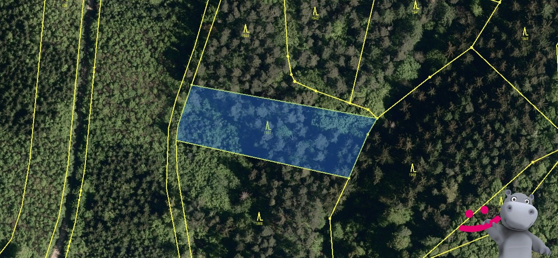 Prodej les - Lutonina, okres Zlín, Zlínský kraj - 5